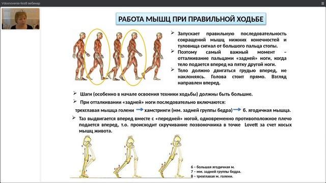 Правильная ходьба как основное средство восстановления суставно мышечного аппарата, Степаник И.А. смотреть онлайн