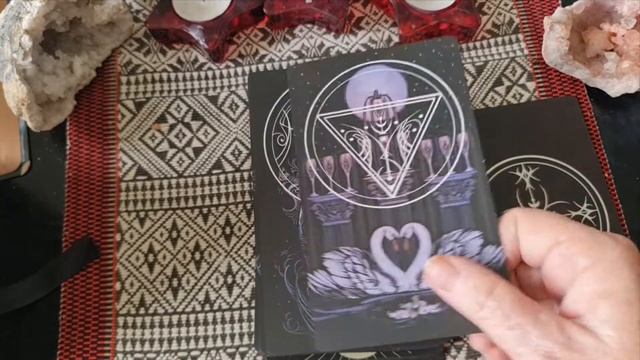An anatomy of a deck collection #unuseddeckwhys vr to @CandySoulAndSoil смотреть онлайн