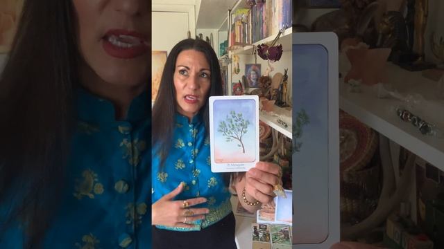 Time for adjustments! Eclipse Portal ??Collective Tarot & Oracle reading from Sedona. смотреть онлайн