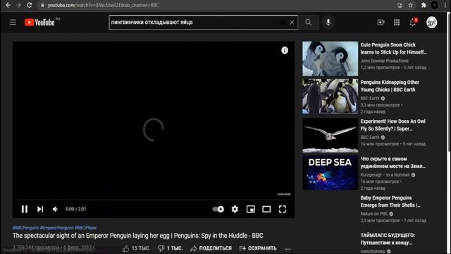 Пингвинчики Джотаро смотреть онлайн