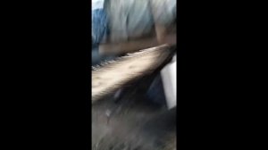 Регулировка подачи масла на бензопиле RedVerg RD GC 55-18