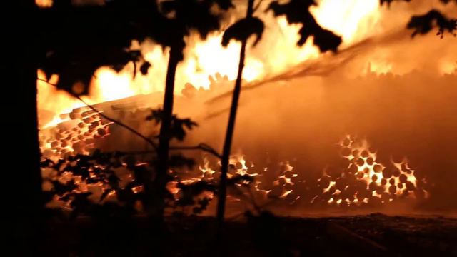 Пожар в Горенском лесу 15.06.14 смотреть онлайн