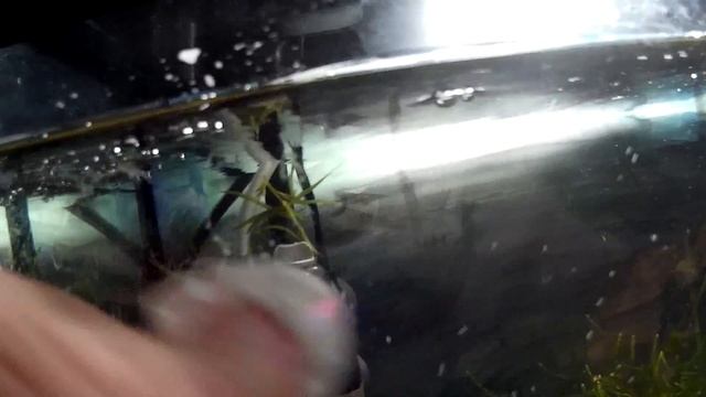 Строительные Параллели