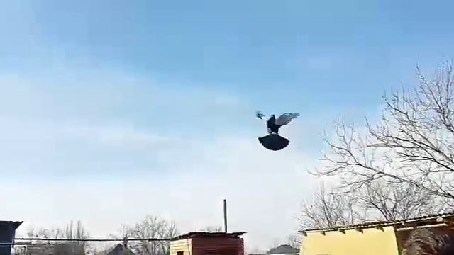 бой бакинцев хусейна смотреть онлайн