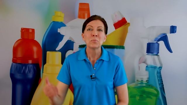 What is a Professional House Cleaner? смотреть онлайн