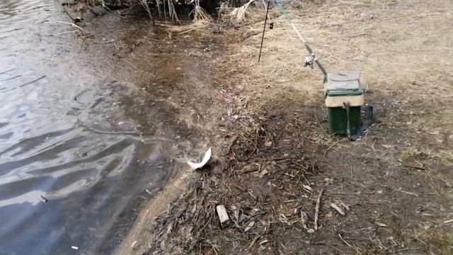 Жби котлован.