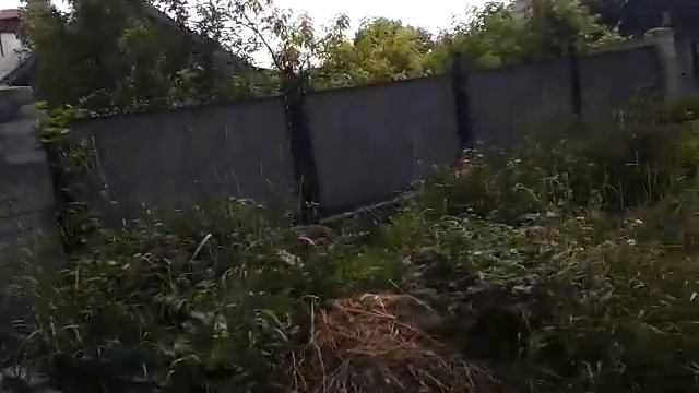 ул Зоологическая 16/06/2014 смотреть онлайн