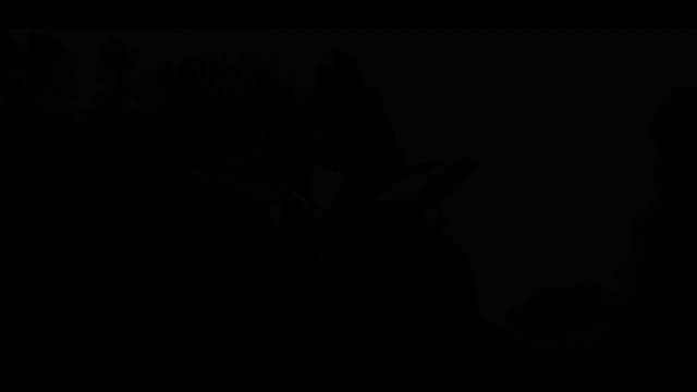 Stunt - Strzelce Opolskie смотреть онлайн