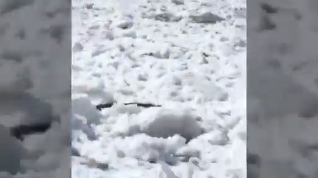 Половодье в Ассы 2021 смотреть онлайн