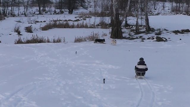 Санки не едут((( смотреть онлайн