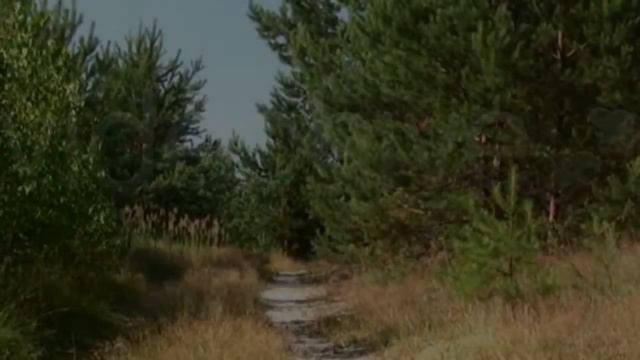 שיר בארבעה בתים אילנית смотреть онлайн