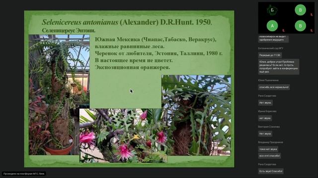 Представители рода Selenicereus в коллекциях Ботанического сада Петра Великого