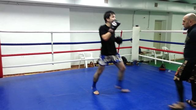 PLMT Тайский бокс - Зелимхан Дадаев работа на лапах смотреть онлайн