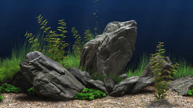 Dream Aquarium Rocky Blue No Fish смотреть онлайн
