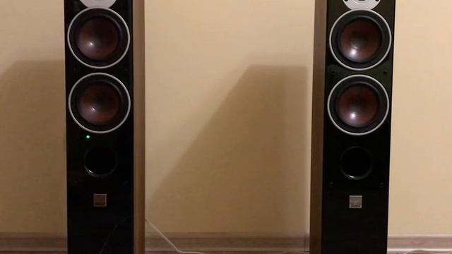 Dali Zensor 5 AX (Part 1) смотреть онлайн