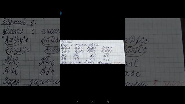 ЕГЭ 2020 - биология. Случайное задание 🤔 смотреть онлайн