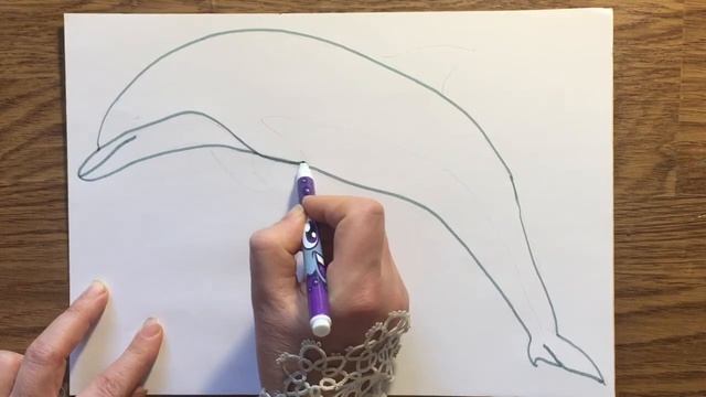 How to draw Dolphin. Dolphin Family for Kids. Как нарисовать дельфина смотреть онлайн