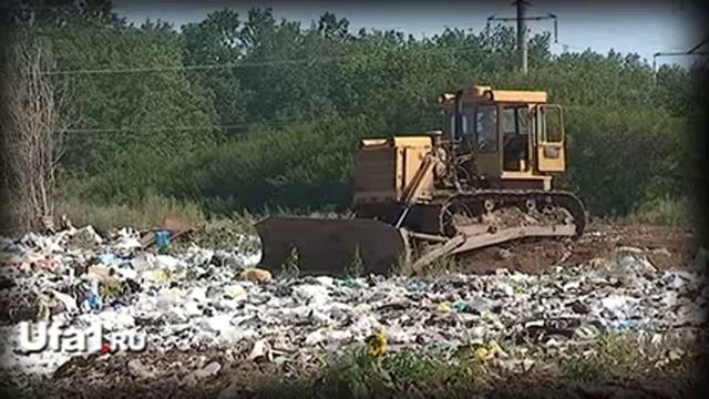 Тараканы атакуют деревню Вавилово Уфимского района смотреть онлайн