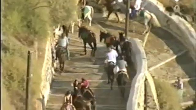 2020-04-06: Archeologie en Exodus смотреть онлайн