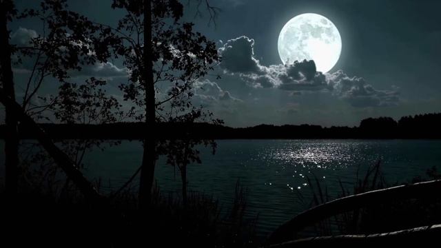 лучшее видео чтобы расслабиться