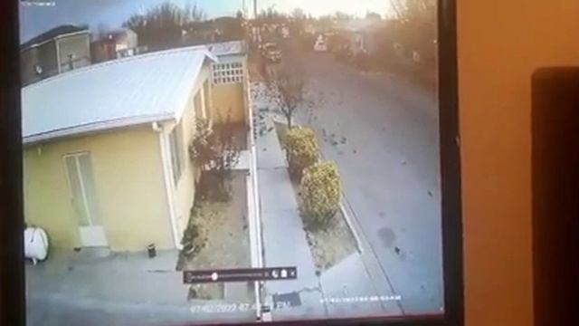 Сотни птиц замертво упали на землю в Мексике смотреть онлайн