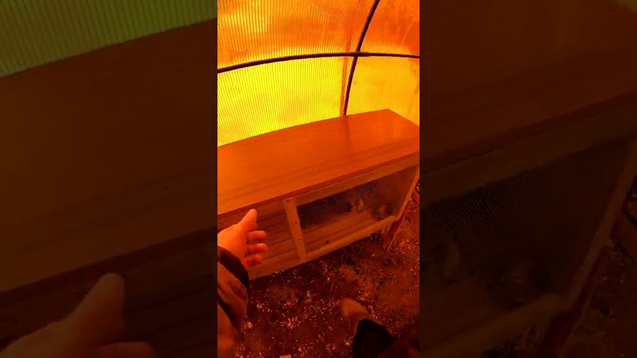 Клетка для кроликов смотреть онлайн