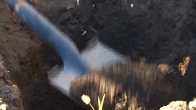 СЕКРЕТЫ ВЫРАЩИВАНИЯ ВИШНИ смотреть онлайн