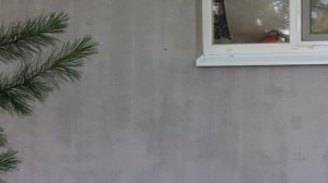 Моя мастерская - отделка фасада. Фактурная краска Dufa Textur Farbe