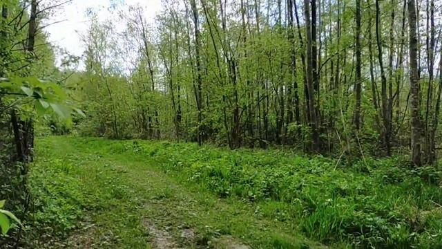 Природа России . Nature Of Russia. Nature Sounds