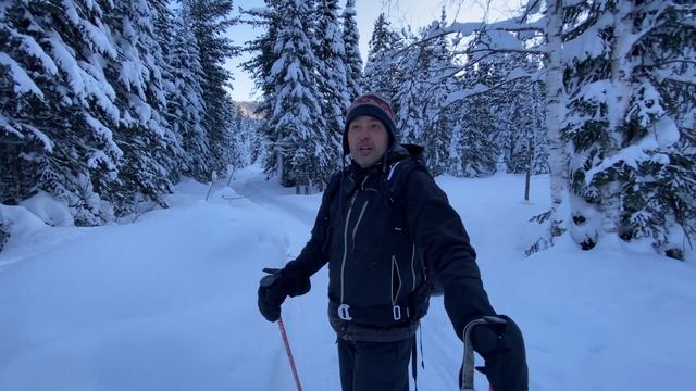 SIBERIAN ETHNO EXP смотреть онлайн