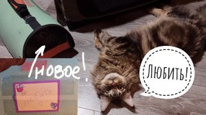 Новый поселенец в Совином Доле. Солидная дева с приданным немного в шоке