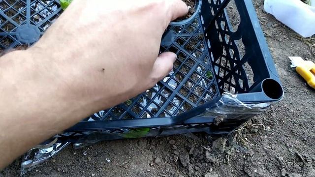 Отзыв совместной закупки Сергей Зубцов смотреть онлайн