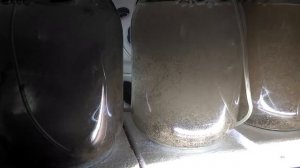 РАЗВЕДЕНИЕ ГОЛУБОГО НЕОНА ЧАСТЬ 2. МАЛЕК, СТАРТОВЫЕ КОРМА, АРТЕМИЯ, КОЛОВРАТКА (English subtitles)