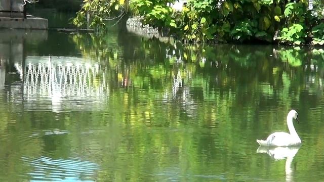 ПАРК ЮЖНЫЙ + где мы жили в Адлере смотреть онлайн