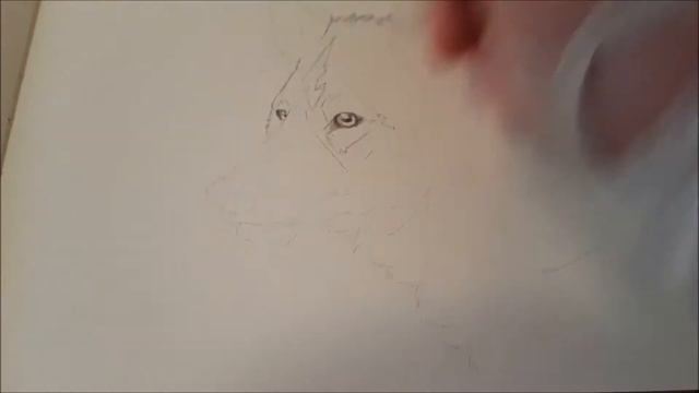 Daily Sketch 40 - Wolf смотреть онлайн