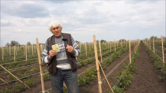 Aplicarea preparatelor contrastres pentru reabilitarea plantelor în urma înghețurilor смотреть онлайн