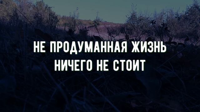 Как же мудро сказано! Мудрые цитаты, открывающие глаза на жизнь смотреть онлайн