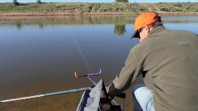 ЛЕЩ И ПЛОТВА - ЛУЧШИЕ ДРУЗЬЯ! Рыбалка на фидер. смотреть онлайн