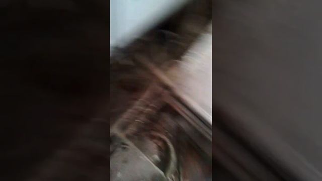 ЗАО Поликомпласт Сервис Кустарный производство ЛАКОКРАСОЧНЫХ МАТЕРИАЛОВ