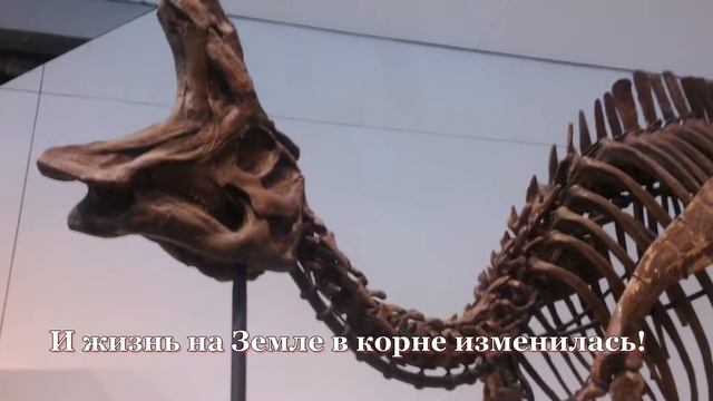 Динозавры (Размышления в Королевском музее в Торонто) смотреть онлайн