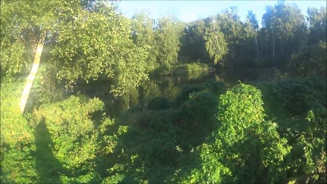 Охота на уток в Беларуси.  Август 2020