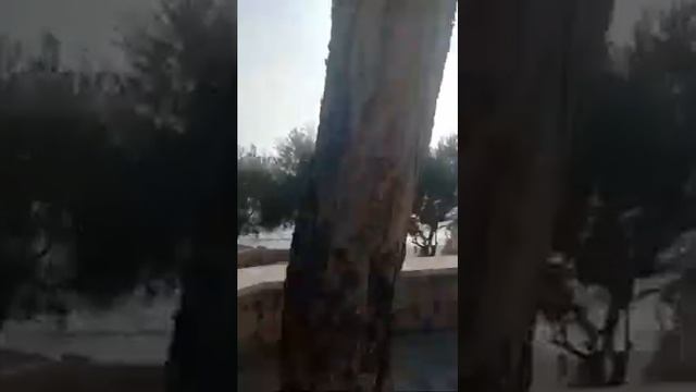 Sitges Beach смотреть онлайн