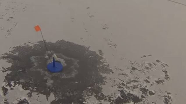 Первый лед 2018 2019. Ловля щуки на жерлицы. Рыбалка на озере Петровское. смотреть онлайн