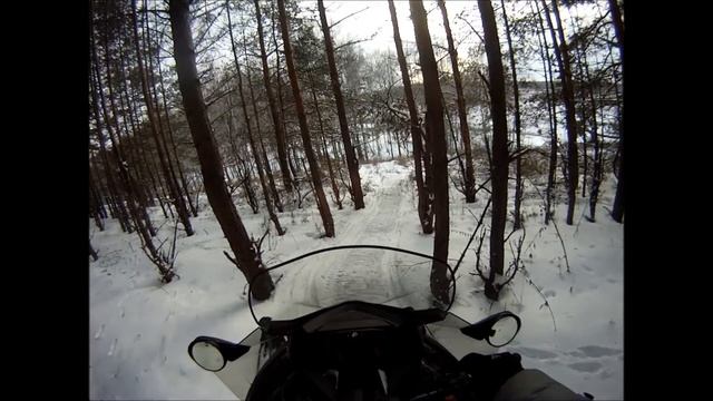 По лесу.wmv смотреть онлайн