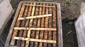 как узнать что пора расширять гнездо и как поставить второй корпус