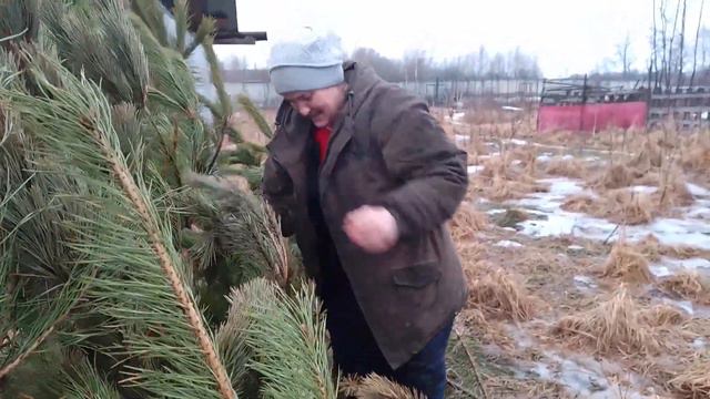 25.03.23. #дневнойдень Причина отсчета! смотреть онлайн