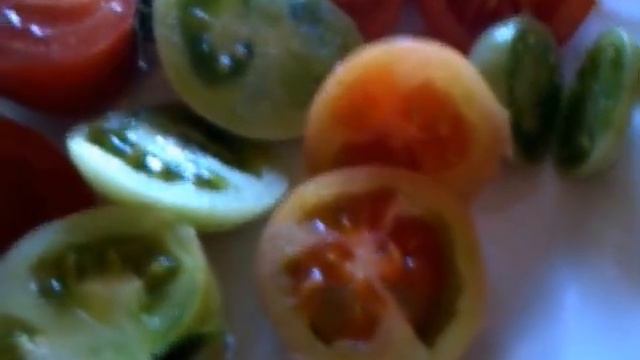 seeding tomatoes totem for next years garden смотреть онлайн