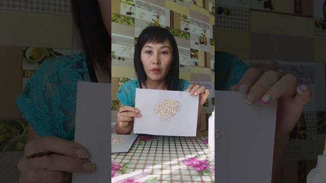 дәнді-дақылдан қой жасау