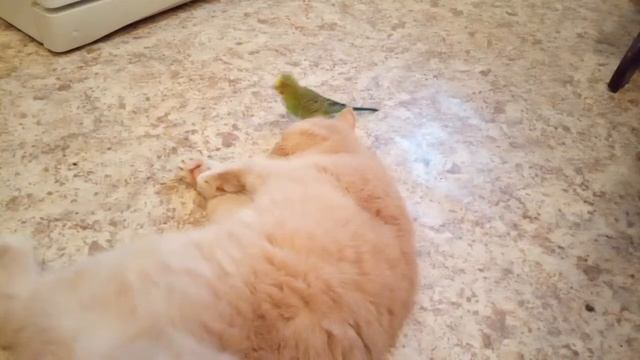 Марсик и Кеша первый раз в эфире😊