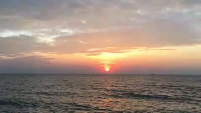 Born to be # Veranda Pattaya смотреть онлайн